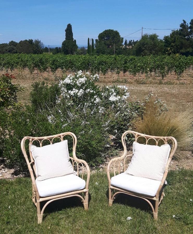 Saint Didier  Le Cottage Du Chat Blanc מראה חיצוני תמונה