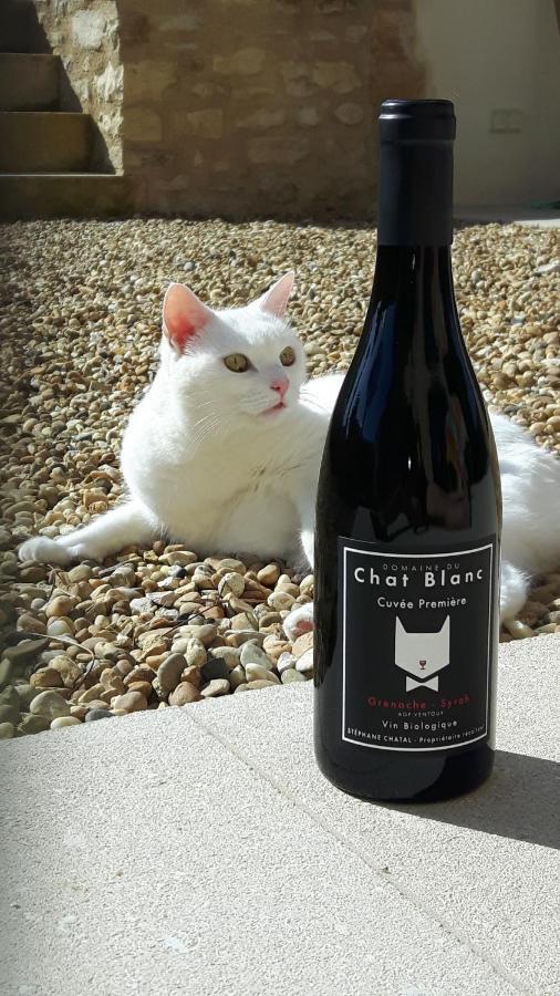 Saint Didier  Le Cottage Du Chat Blanc מראה חיצוני תמונה