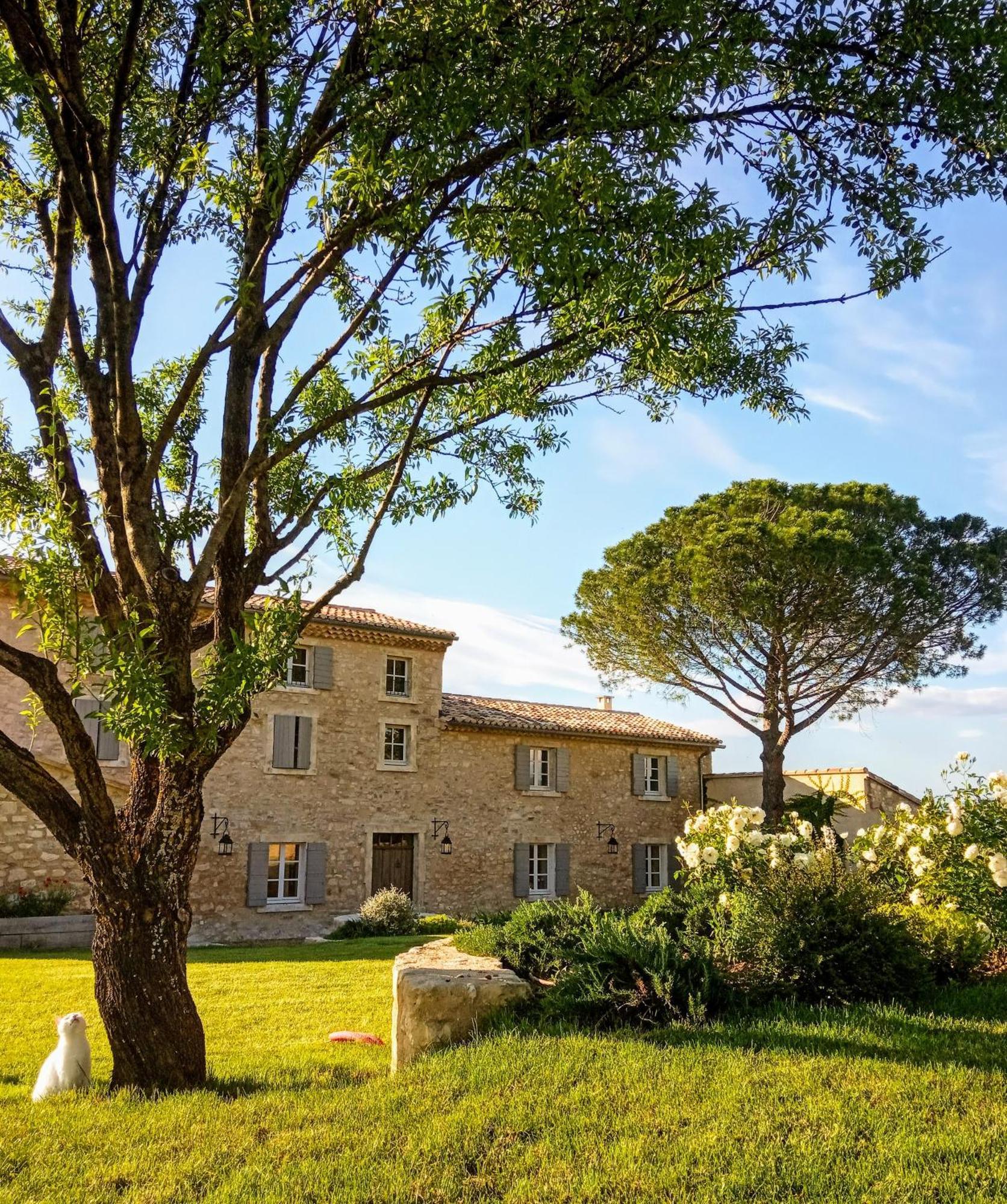 Saint Didier  Le Cottage Du Chat Blanc מראה חיצוני תמונה
